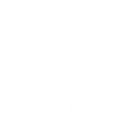 Nullforge Security Inc. logo