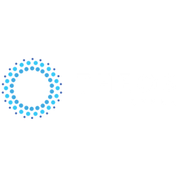 Theos Cyber logo