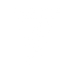 Red Team Village logo